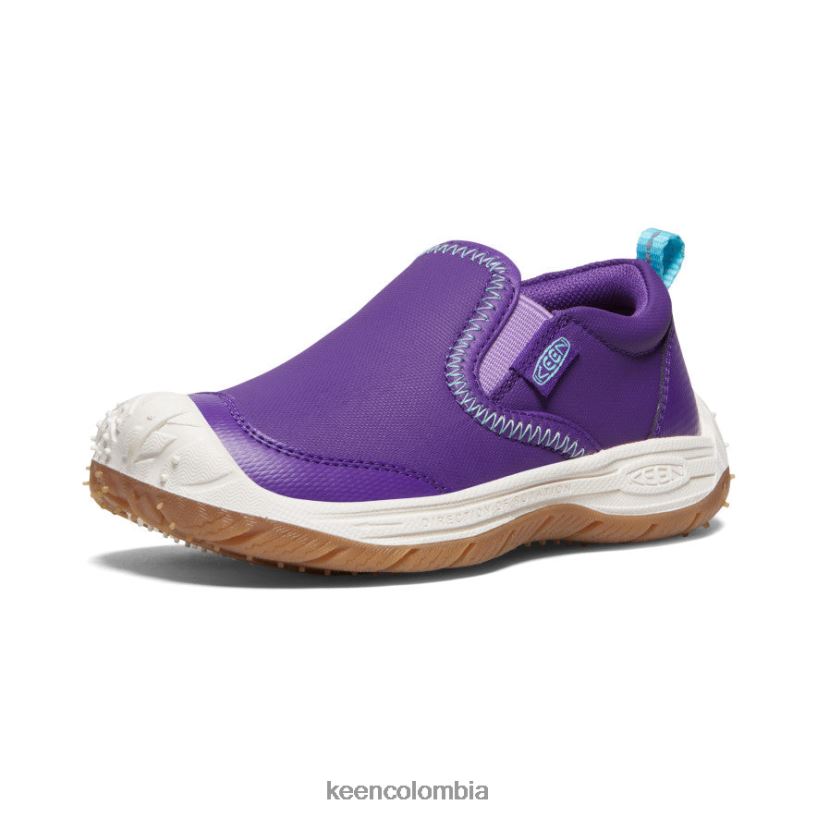 pequeños niños perro de velocidad sin cordones tillandsia púrpura/ipanema KEEN calzado 88N808715