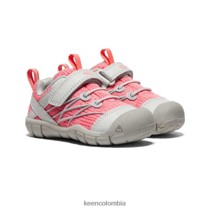 niños pequeños chandler cnx llovizna/dubarry KEEN calzado 88N808900