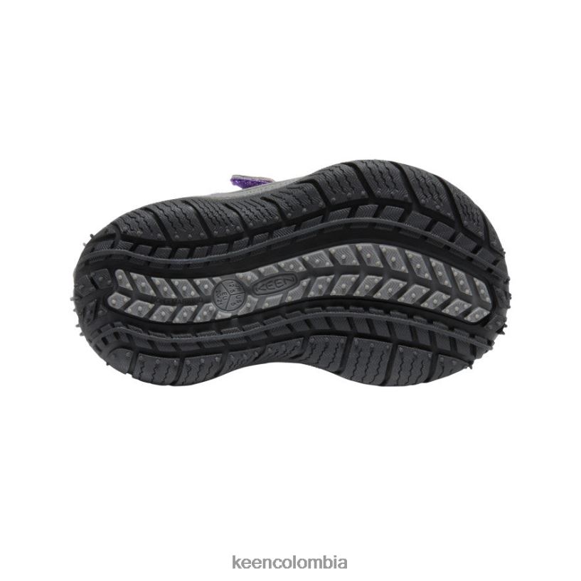 niños pequeños sabueso de velocidad tillandsia violeta/multicolor KEEN calzado 88N808920