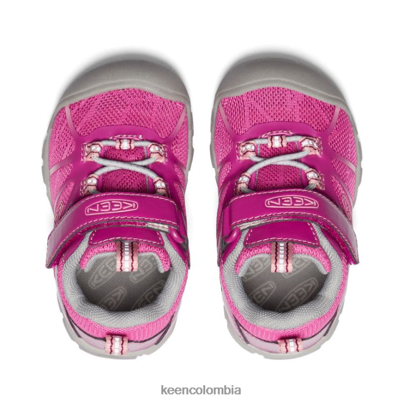 niños pequeños zapatillas chandler 2 cnx festival fucsia/rosa ibis KEEN calzado 88N808884
