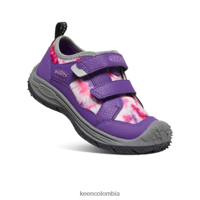pequeños niños sabueso de velocidad tillandsia violeta/multicolor KEEN calzado 88N808810